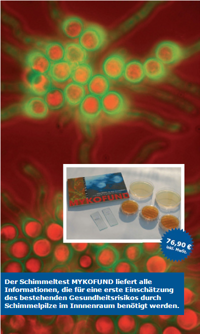 mykofund_promo