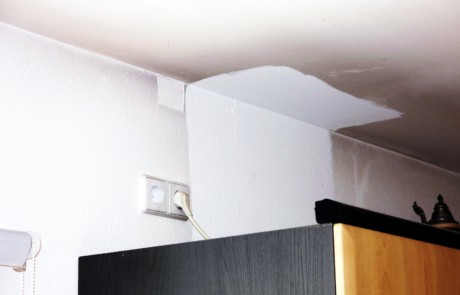 Schwarzer Staub im Haus durch "Fogging" ist kein Schimmelpilz - Bild 1