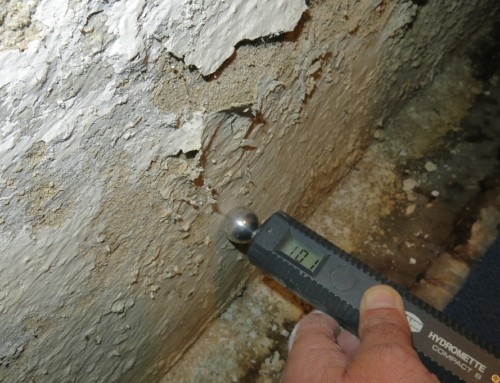 Beseitigung von Baufeuchteschäden und Trockenlegung feuchter Keller