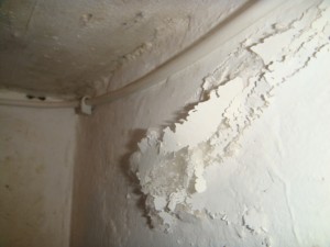 Salzausblühung an einer nassen Kellerwand 