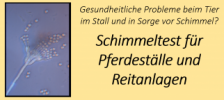 Gutachter für Schimmel aus Hannover, Behling Baugutachter