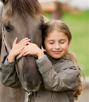 Pferd mit Kind